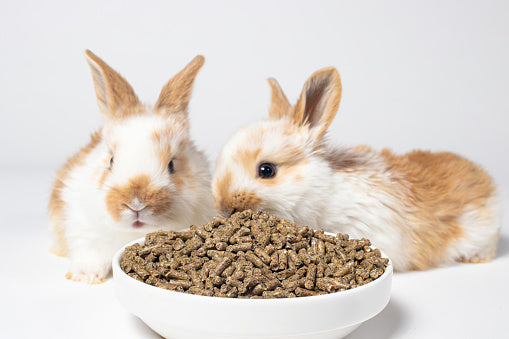 Alfalfa Pellet Treats